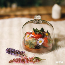 Load image into Gallery viewer, ฝาครอบอาหาร &#39;ขนาดเล็ก&#39; Food Cover &#39;Mini&#39;
