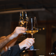 Load image into Gallery viewer, CaLix แก้วไวน์อเนกประสงค์ U2 Universal Wine Glass • LINEA Collection (set of 4)
