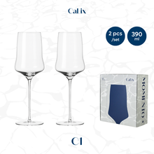 Load image into Gallery viewer, CaLix แก้วแชมเปญ Champagne Glass – MOMENTO Collection

