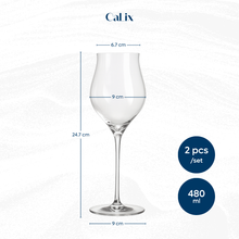 Load image into Gallery viewer, CaLix แก้วไวน์อเนกประสงค์ Universal wine glass – GAIA Collection #WG-U3-2
