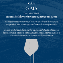 Load image into Gallery viewer, CaLix แก้วไวน์อเนกประสงค์ Universal wine glass – GAIA Collection #WG-U3-2
