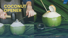 Load and play video in Gallery viewer, ที่ปอกมะพร้าว Coconut Opener
