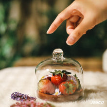 Load image into Gallery viewer, ฝาครอบอาหาร &#39;ขนาดเล็ก&#39; Food Cover &#39;Mini&#39;
