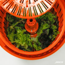 Load image into Gallery viewer, ถังสลัดน้ำผัก  20 ลิตร Salad Spinners
